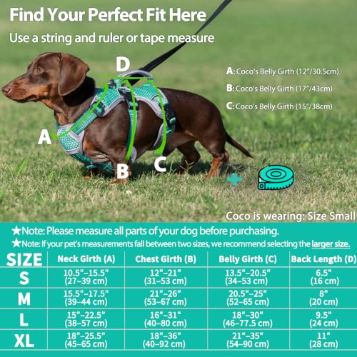 Huntboo Escape Proof Dog Harness, Dachshund Harness, Reflective Dog Harness with Handle, Durable,Adjustable Vest for Small Medium Large Dogs Walking, Training, and Running Gear (Mint Green,S) - color: Mint Green, size: Small(Pack of 1)