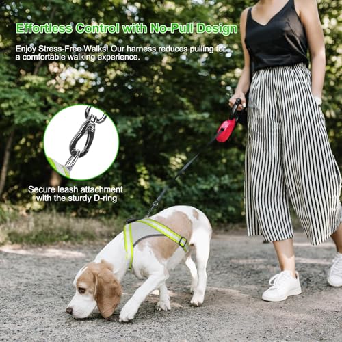 Visinite LED Dog Harness, USB Rechargeable Light Up Dog Vest, 2 Illuminate Modes Glow in The Dark Dog Harness, Adjustable Lighted Pet Harness Light for Night Walking Safety (Green, L) - color: Green, size: Large