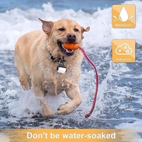 Dog Lights for Night Walking, Clip on Dog Collar Light - 3 Modes, USB-C Rechargeable, IP65 Waterproof, LED Safety Light for Running, Camping, Climbing, Bike - color: White-2pcs-4Modes