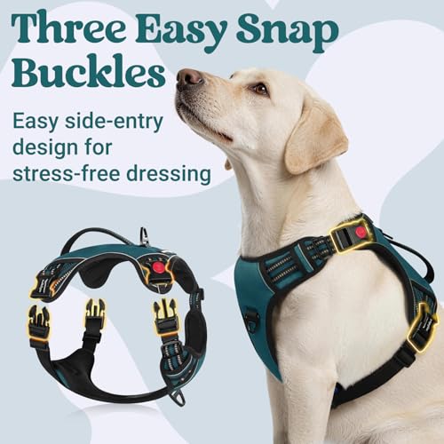 rabbitgoo Large Dog Harness, Easy Wear with 3 Buckles and Lift Handle - color: Green, size: Large