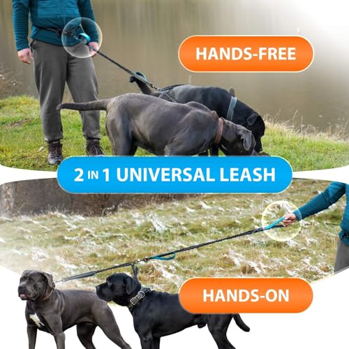 SparklyPets Hands Free Dual Dog Leash, Medium & Large (Gradient Blue) - color: Gradient Blue, size: 2 dogs M/L
