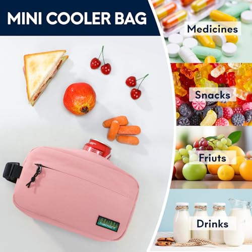 Haimont Small Freezable Lunch Insulated Bag, Reusable Freezer Snack Cooler Bag with Buckle Handle, Mini Insulated Cooler for Work Travel, Pink - color: Pink