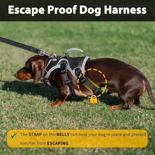 Huntboo Escape Proof Dog Harness, Dachshund Harness, Reflective Dog Harness with Handle, Durable,Adjustable Vest for Small Medium Large Dogs Walking, Training, and Running Gear (Black,M) - color: Black, size: Medium(Pack of 1)