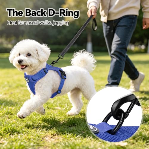 PoyPet Mesh Dog Harness, Reflective Breathable Puppy Vest for Small Dogs - color: Royal Blue, size: XS