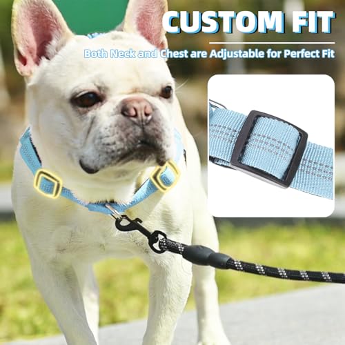 PUPTECK No Pull Dog Harness Small Sized Dog, Adjustable Reflective Pet Vest Harness with Bungee Handle, Escape Proof No Choke Harness for Small Dogs Walking Training, Sky Blue S - color: Sky Blue, size: S (NECK: 15"-17.5", CHEST: 18.5"-24")