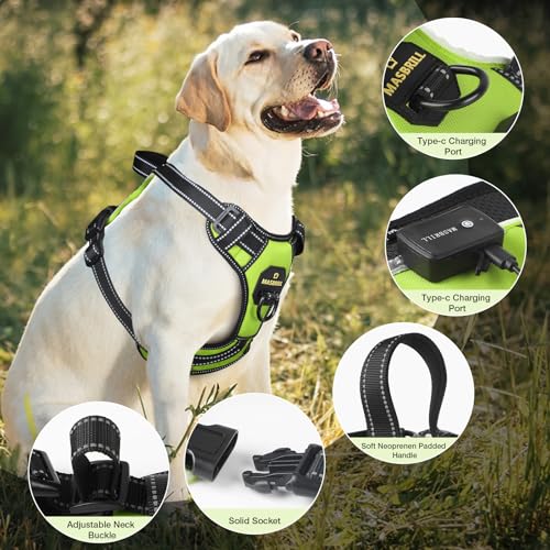 MASBRILL Light Up Dog Harness - LED No Pull Rechargeable Illuminated and Reflective Vest for Night Walking, Adjustable Dog Harness - color: Green, size: M