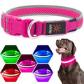 Flashseen LED Dog Collar, Light Up Dog Collar USB Rechargeable, Pink, S - color: Pink, size: Small