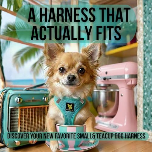 EcoBark Teacup Dog Harness, Soft Step in Puppy Vest, XXXS, Under 5 Lbs - color: Mint Turquoise, size: XXXS- 2 to 3 lbs- Chest up to 10 in (Pack of 1)