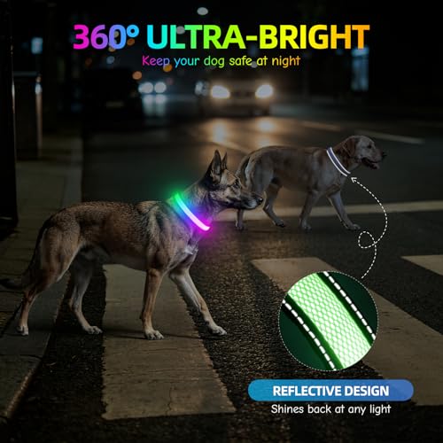 Flashseen Multicolor LED Light Up Dog Collar, RGB 9-Mode, USB Rechargable - color: White, size: Medium