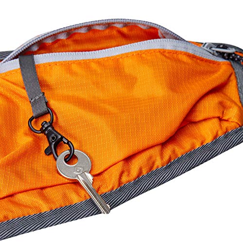 Blueberry Style Orange Bumbag Waist Bag Fanny Pack for Walking Running - Built-in Poop Bag Holder, Dog Treat Pouch, Adjustable Waistband, and Bottle Holder - color: 1 Pack Waist Bag - Orange