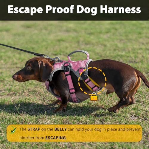 Huntboo Escape Proof Dog Harness, Dachshund Harness, Reflective Dog Harness with Handle, Durable,Adjustable Vest for Small Medium Large Dogs Walking, Training, and Running Gear (Pink,S) - color: Pink, size: Small(Pack of 1)