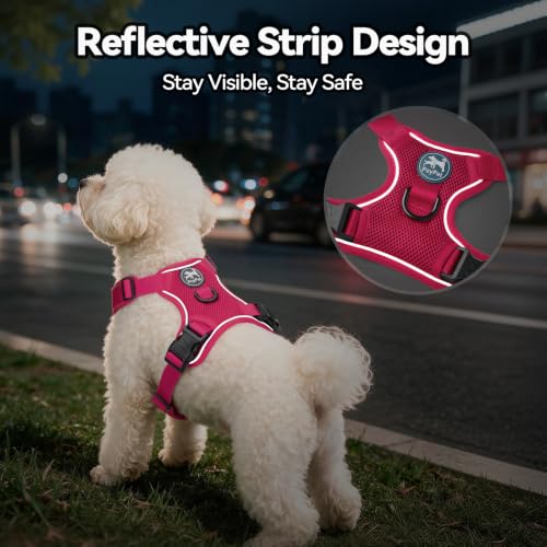 PoyPet Mesh Dog Harness, Reflective Breathable Puppy Vest for Small Dogs - color: Fuchsia, size: XS