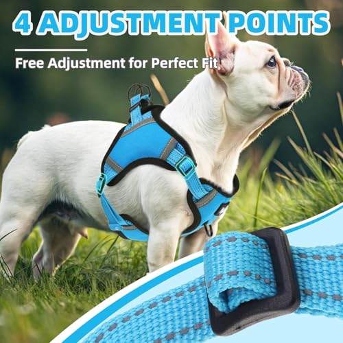 PUPTECK Dog Harness Small Sized Dog, Step in Adjustable Reflective Dog Vest Harness Escape Proof, No Pull Soft Padded Harness Easy Control, Blue, S - color: Blue, size: S (CHEST: 13"-18")