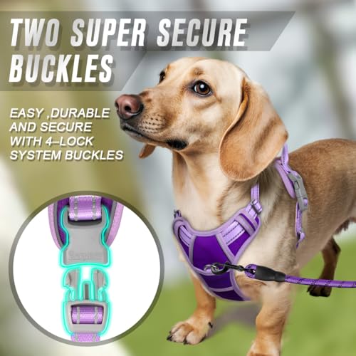 BARKBAY Dog Harness No Pull for Small Sized Dog Front Back Clips,Dog Vest - color: Violet Purple & Purple, size: X-Small(Chest:15.5-19.5”)