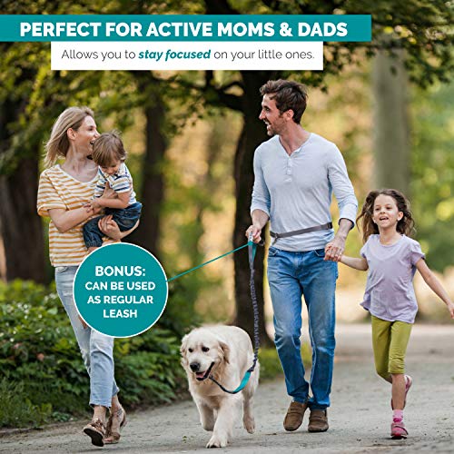 Tuff Mutt Waist Hands Free Dog Leash for Walking Running Hiking - color: Carabiner/Gray