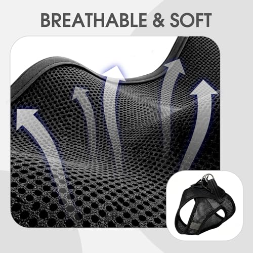 Heywean Cat Harness and Leash Escape Proof, Soft Breathable Mesh Kitty Walking Vest, Adjustable Step-in Kitten Harness Set with Reflective Strip for Small Cats - color: Black, size: Large
