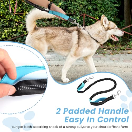 Waist Leash for Medium Large Dog Walking, Hand Free Leash with Zipper Pouch