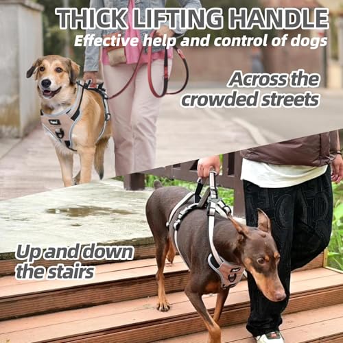 PUPTECK Escape Proof Dog Harness with Padded Handle, No Pull Pet Vest Harness Durable Reflective for Medium Large Dogs Walking Training and Running, Moccasin, M - color: Moccasin, size: Medium