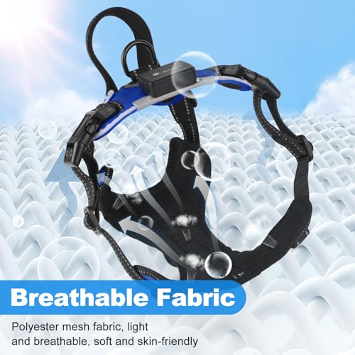 MASBRILL Led Dog Harness - Rechargeable Illuminated & Reflective No Pull Glow Vest for Small - Large Dogs - color: Blue, size: XL