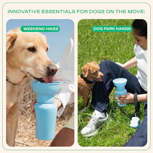 Springland 20oz Flip Portable Dog Water Bottle with Collapsible Bowl, Blue - color: Sky Blue, size: 20oz Flip