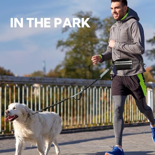 Hands Free Dog Leash for Two Dogs Walking, Running - color: Grey-Green, size: Large