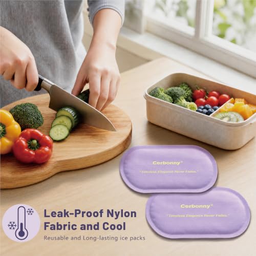 Cerbonny Slim Ice Packs for Lunch Boxes,Reusable, 2 Pack, Lavender Purple - color: Purple