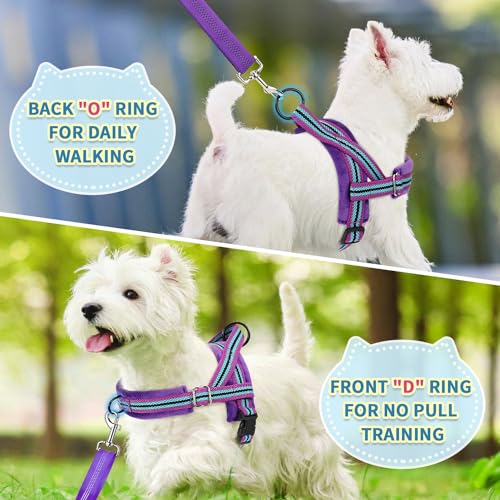 SlowTon No Pull Small Dog Harness and Leash Set with Front Clip - color: Purple, size: X-Small
