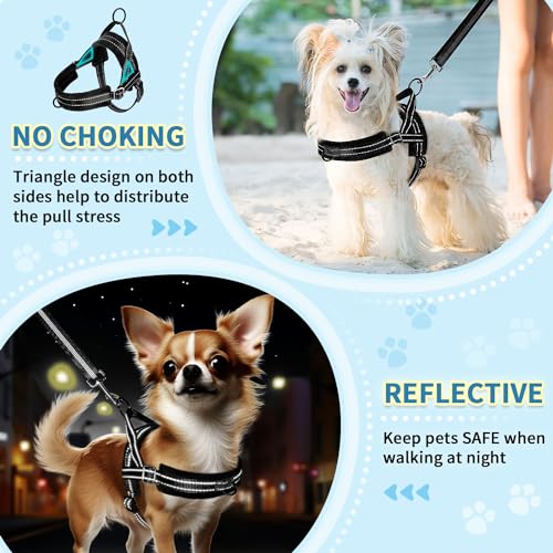 SlowTon No Pull Small Dog Harness and Leash Set with Front Clip - color: Black, size: Small