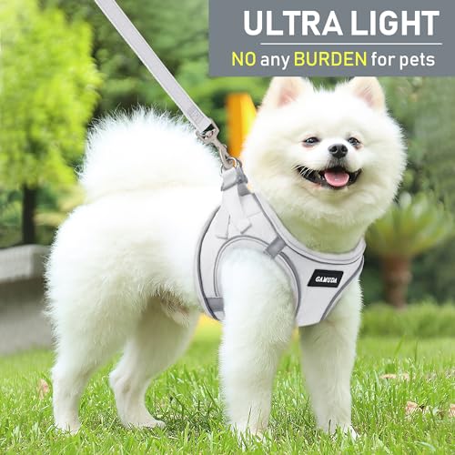 GAMUDA Small Pet Harness Collar and Leash Set, Step in No Chock No Pull Linen Fabric Soft Mesh Dog Vest Harnesses Reflective for Dogs Puppy Cats Kitten Rabbit (White, M) - color: White, size: Medium