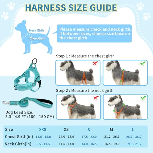 SlowTon No Pull Small Dog Harness and Leash Set with Front Clip - color: Teal, size: Small