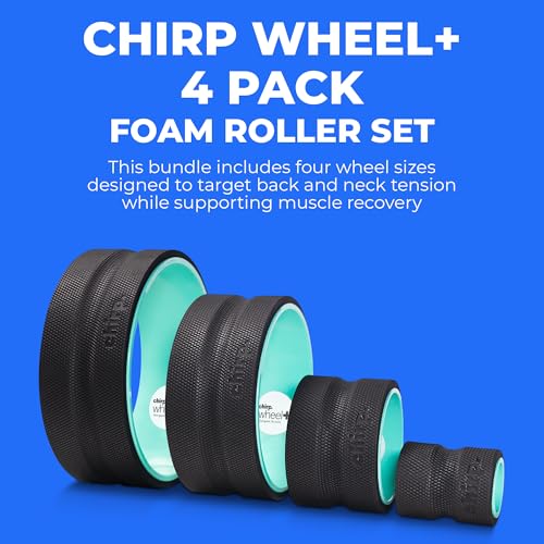 Chirp Wheel+ Foam Roller 4-Pack, Back & Neck Pain Relief, Mint - size: 4-Pack Mint