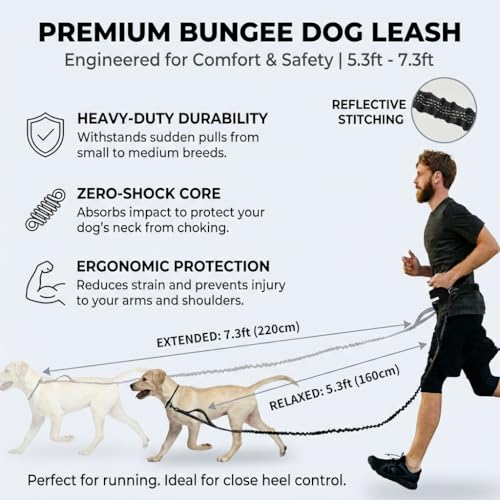Hands Free Dog Leash with Waist Pouch, Reflective Bungee, Dogs Up to 100 lb - color: Black