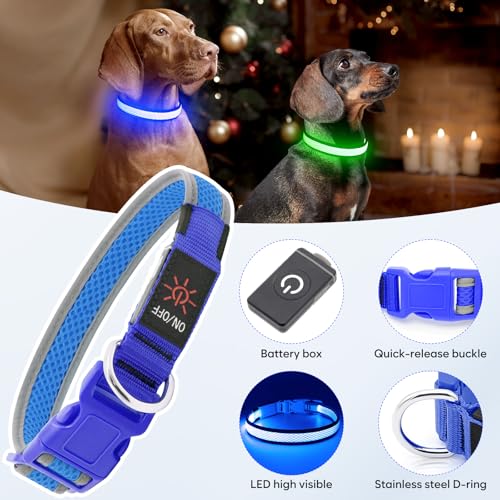Flashseen LED Dog Collar, Light Up Dog Collar USB Rechargeable, Blue, S - color: Blue, size: Small