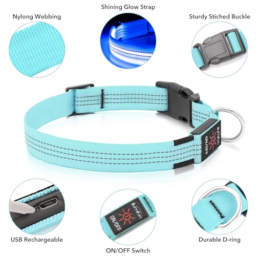Illumifun LED Dog Collar - USB Rechargeable Dog Light Up Collar, Reflective Pet Collar Light Glow in the Dark (BlueⅢ, Medium) - color: BlueⅢ, size: Medium