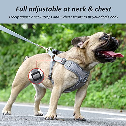 Dog Harness with Leash Set, No Pull Adjustable Step in Pet Vest - color: Gray, size: L