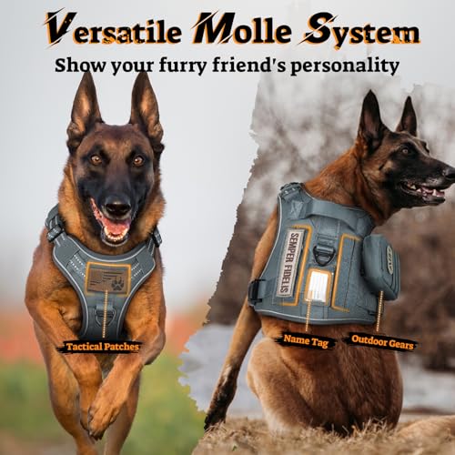 rabbitgoo Tactical Dog Harness for Small Dogs, No Pull Service Pet Vest - color: Grey, size: S(Chest:16.1"-31.5",Neck:15.4"-21.6",Back:7.1")