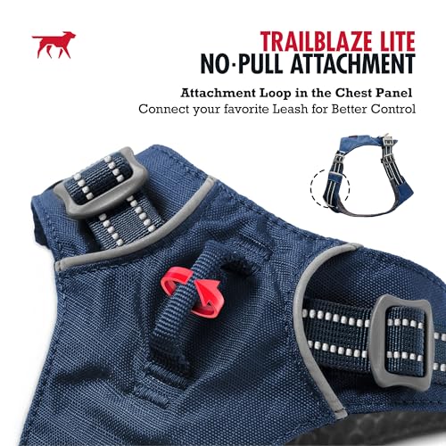 Tuff Pupper All-Day Wear Dog Harness | for Walking, Trail Running, Hiking | Front & Back Leash Clips | Reflective Trim | Easy On/Off Buckles | Lightweight Breathable | No Pull Design (XS, Blue) - color: Twilight Blue, size: X-Small
