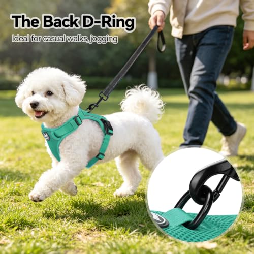 PoyPet Mesh Dog Harness, Reflective Breathable Puppy Vest for Small Dogs - color: Mint Green, size: S