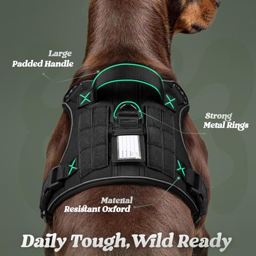rabbitgoo Tactical Dog Harness for Small Dogs, No Pull Service Pet Vest - color: Black, size: S(Chest:16.1"-31.5",Neck:15.4"-21.6",Back:7.1")