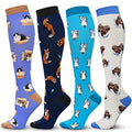 LEVSOX Compression Socks Women and Men, 20-30mmHg, Best for Nurses, Travel, Pregnancy - color: 4 Pairs Mix C, size: X-Large