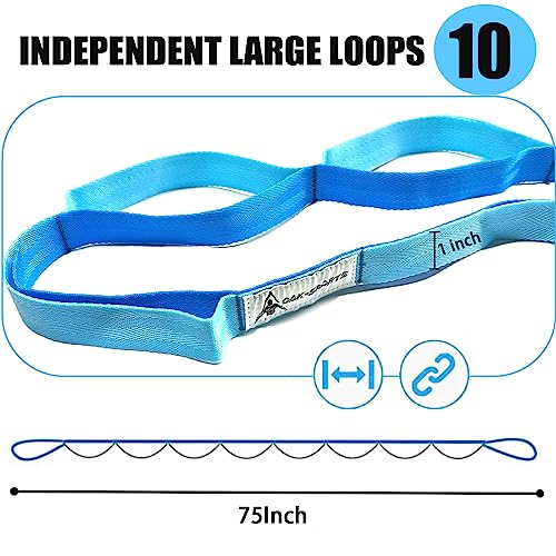 Stretching Strap Yoga Strap with Loops for Physical Therapy, Non-Elastic - color: Black+Blue/Light Blue
