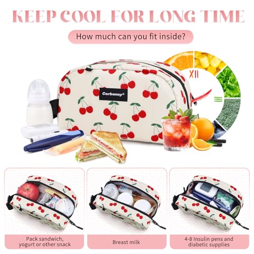 Cerbonny Small Cooler Bag,Freezable Lunch Bag,Built-in ice pack - color: Beige-Cherry