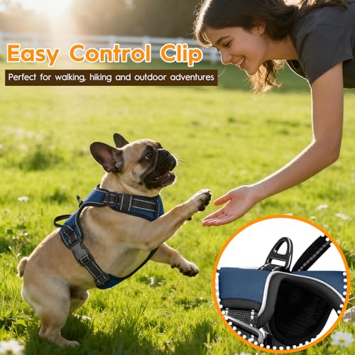 No Pull Dog Harness, No-Choke Soft Padded Reflective Dog Vest Harness with Front Clip & Top Handle, 2 Quick-Release Buckles, Adjustable for Small Medium Large Dogs - color: Royal Sapphire, size: X-Small
