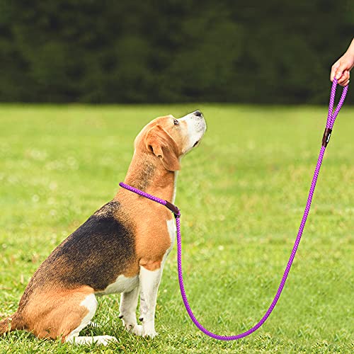 PetiFine Slip Lead Dog Leash Reflective, 6FT x 1/2" Heavy Duty Slip Leash - color: Purple, size: 1/2" x 6 FT