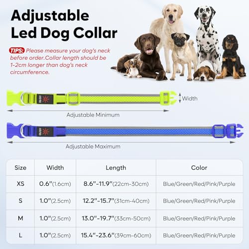 Flashseen LED Light Up Dog Collar, USB Rechargeable, Purple, M - color: Purple, size: Medium
