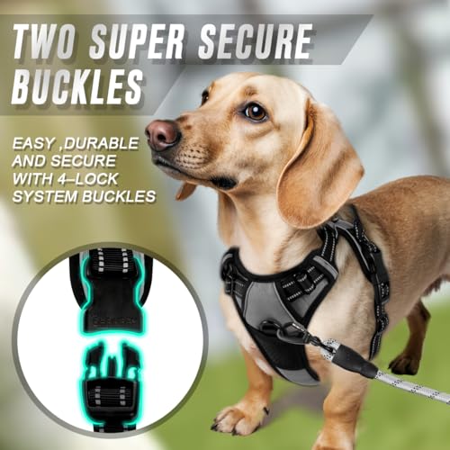 BARKBAY Dog Harness No Pull for Small Sized Dog Front Back Clips,Dog Vest - color: Dark Grey, size: X-Small(Chest:15.5-19.5”)