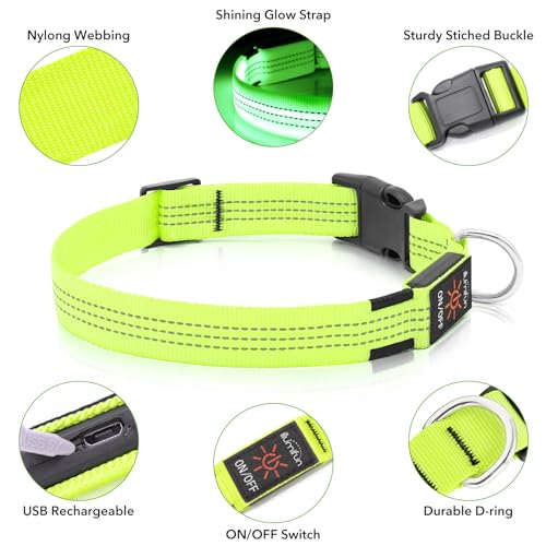 Illumifun LED Dog Collar, Rechargeable Light Up Collars, Reflective Safety Collar Light for Nighttime Walking Camping (GreenⅢ, Medium) - color: GreenⅢ, size: Medium