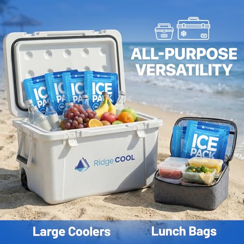Ice Packs for Cooler, Reusable Ice Packs for Lunch Boxes, 4 Pack Long Lasting Freezer Packs, Leakproof Cooler Ice Packs for Lunch Bags and Coolers, BPA-Free, Food Safe - size: 4-Pack / 600g Each