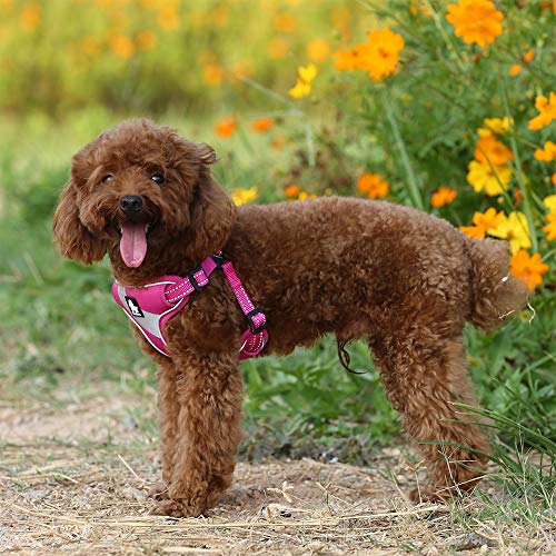 TRUE LOVE Step-in Dog Harness, Reflective, Breathable, Fushcia, M - color: Fushcia, size: M