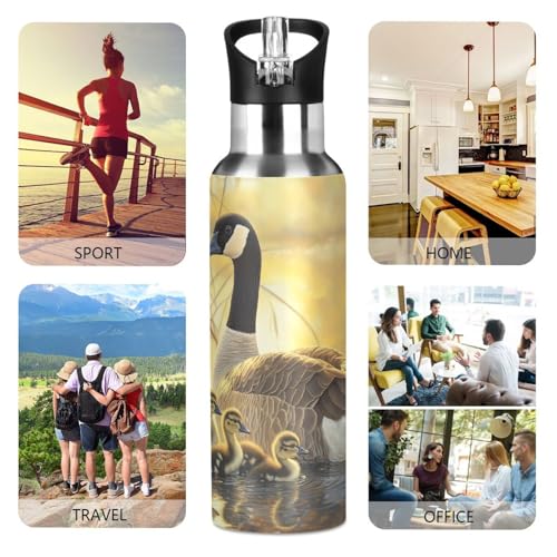 OTVEE Canada Geese and Goslings Water Bottle Sports Water Bottle Insulated Stainless Steel Hot Cold Water Mug with Straw Lid & Handle for Sports Gym 20 oz - color: Canada Geese and Goslings